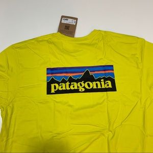 Patagonia Logo Cotton T-shirt